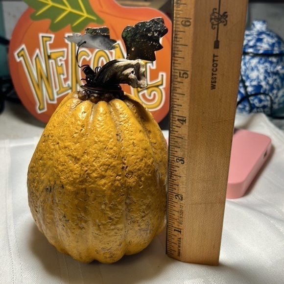 TWO Fall Pumpkins 🎃 - Picture 4 of 9